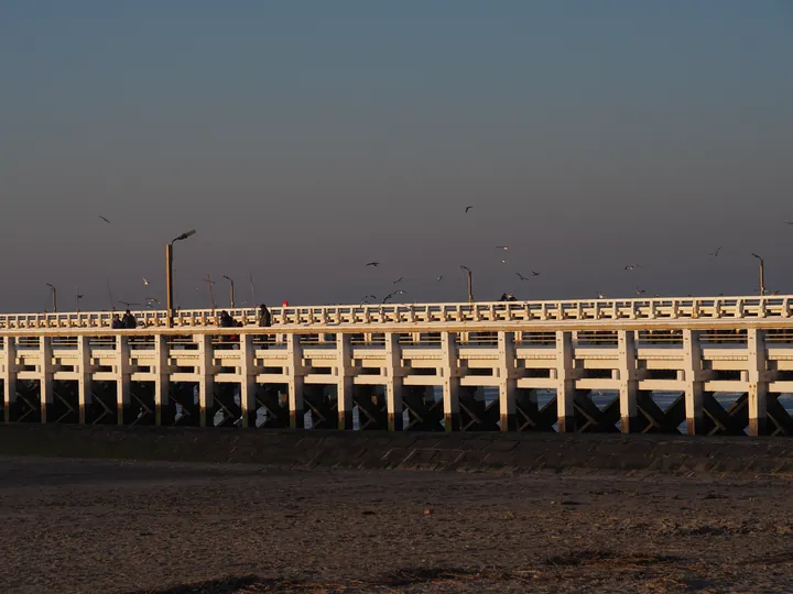 Nieuwpoort (België)